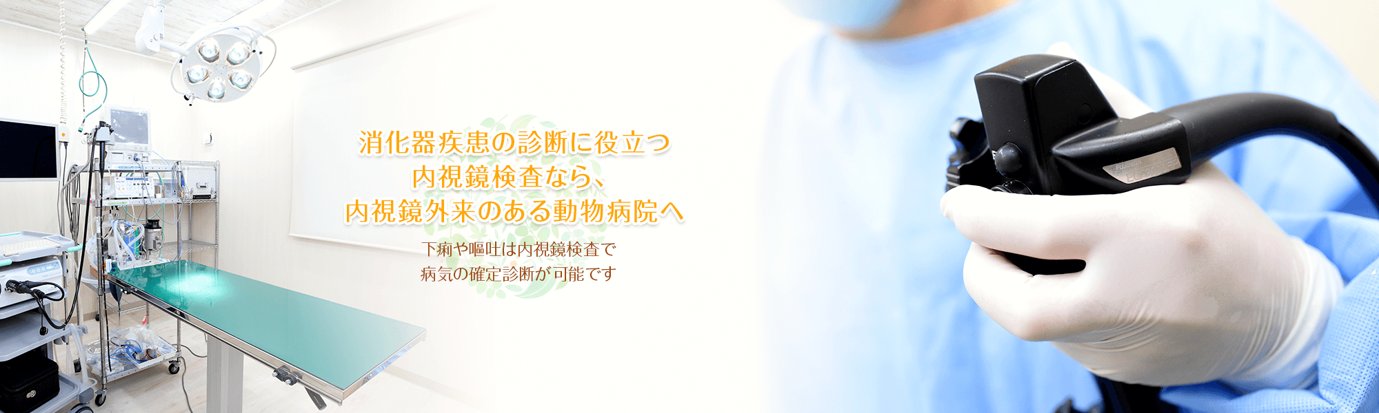 消化器疾患の診断に役立つ内視鏡検査なら、内視鏡外来のある動物病院へ