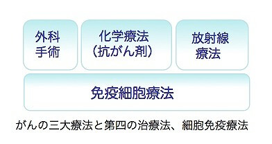 活性化リンパ球と樹状細胞療法