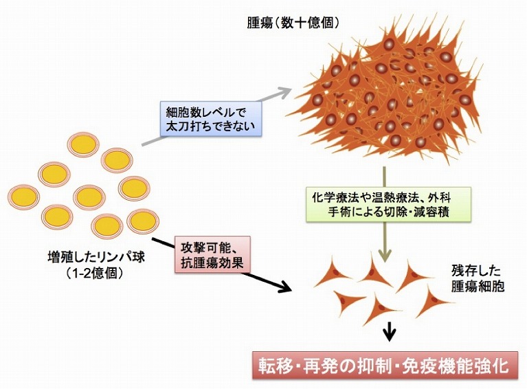 CAT適用の考え方