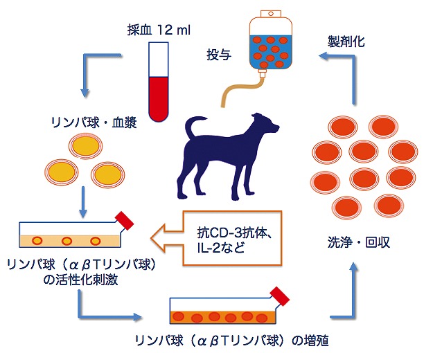 CAT適用の考え方