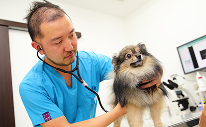 くりの木動物病院｜横浜市磯子区や金沢区で犬や猫の避妊・去勢手術を